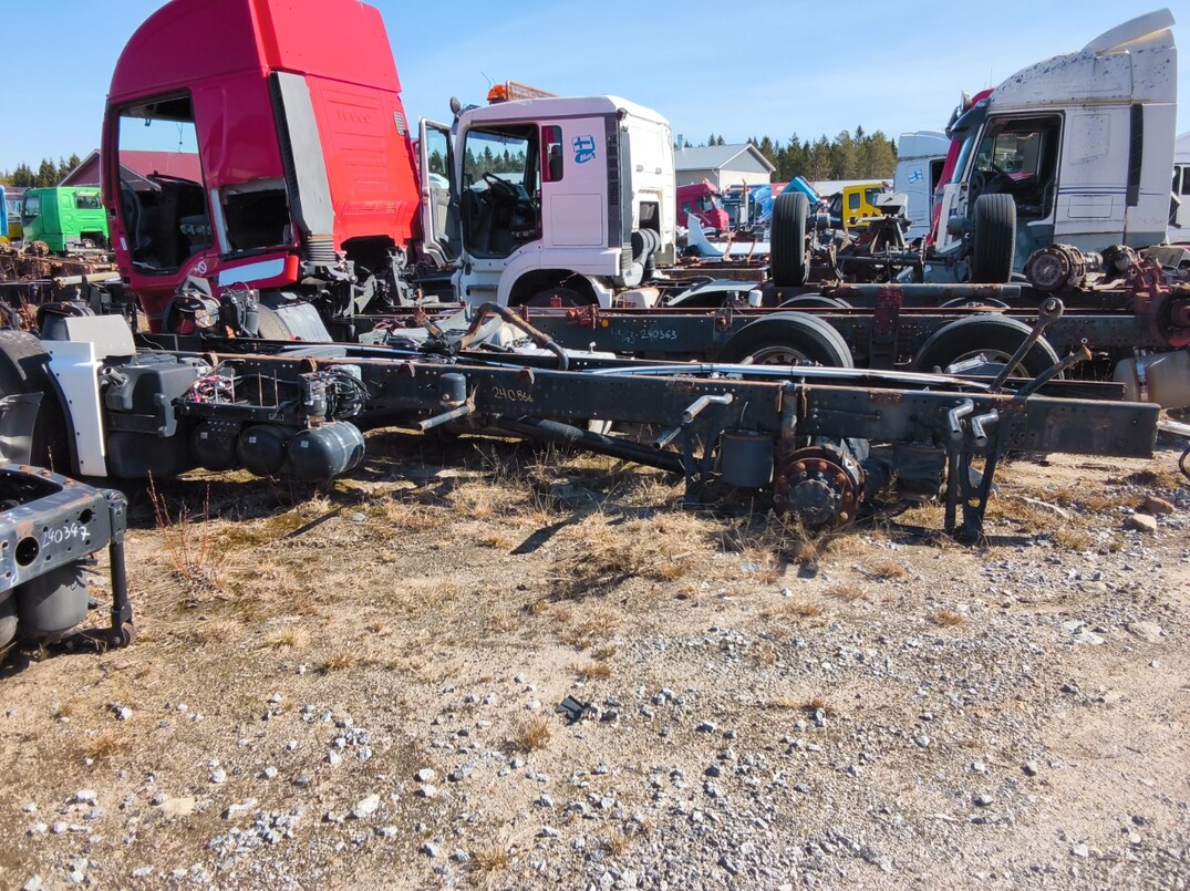 MAN TGX image